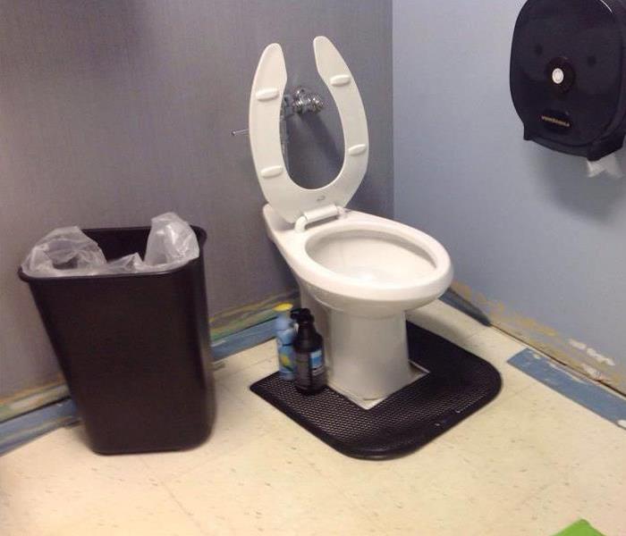 toilet in a bathroom